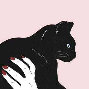 Meet your Posher, Bella